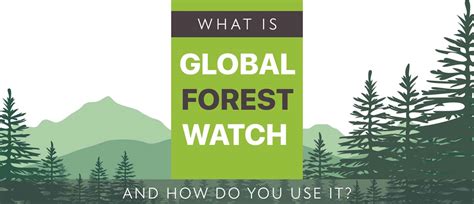 Harnessing the Power of Global Forest Watch for Data